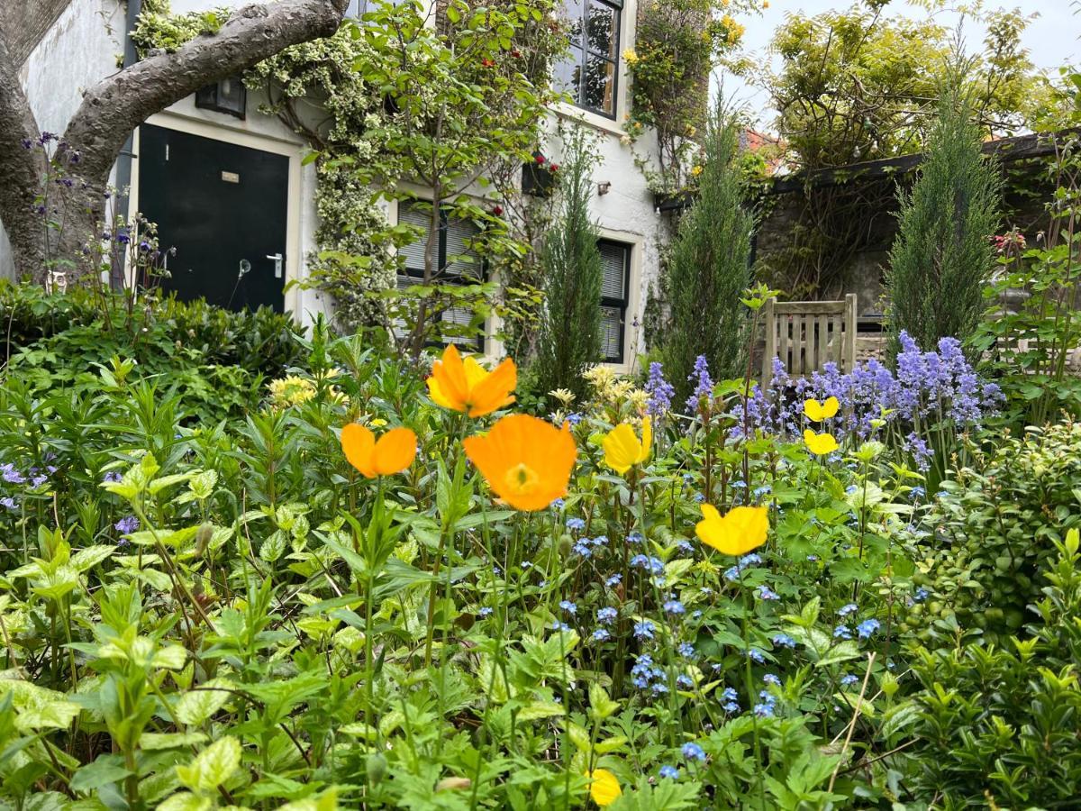 Apple Tree Cottage - Charming Home At Beautiful Canal In Our Idyllic Garden Gouda Zewnętrze zdjęcie